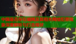 中国是否存在暗网及其相关网络犯罪现象深度解析与打击现状