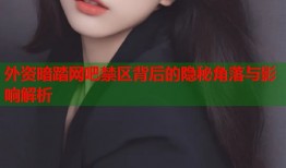 外资暗踏网吧禁区背后的隐秘角落与影响解析