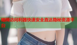 暗网访问利器快速安全直达隐秘资源平台