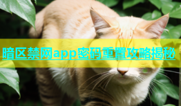 暗区禁网app密码重置攻略揭秘