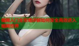 暗网入门全攻略详解如何安全高效进入暗网世界