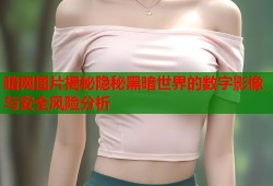 暗网图片揭秘隐秘黑暗世界的数字影像与安全风险分析