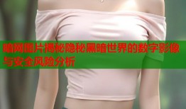 暗网图片揭秘隐秘黑暗世界的数字影像与安全风险分析