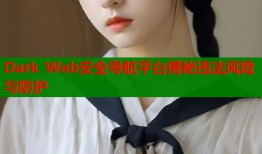 Dark Web安全导航平台揭秘违法风险与防护