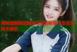 揭秘暗网网站网址背后的秘密与安全风险全解析