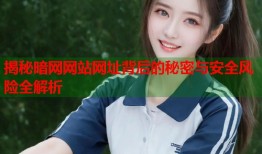 揭秘暗网网站网址背后的秘密与安全风险全解析