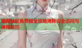 暗网禁区免费版全攻略揭秘安全访问与使用技巧
