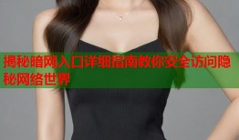 揭秘暗网入口详细指南教你安全访问隐秘网络世界