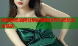 揭秘禁网暗网背后的隐秘世界与网络安全挑战