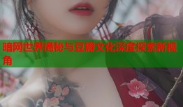 暗网世界揭秘与豆瓣文化深度探索新视角