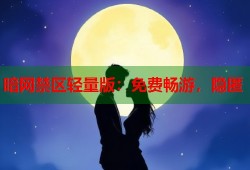 暗网禁区轻量版：免费畅游，隐匿