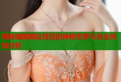 揭秘暗网网址背后的神秘世界与安全风险分析