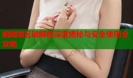 暗网禁区破解版深度揭秘与安全使用全攻略