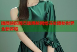 暗网禁区网页版揭秘网络深处隐秘世界全新体验