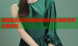 暗网禁区网页版揭秘网络深处隐秘世界全新体验