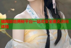暗网禁地揭秘平台一站式安全匿名访问体验