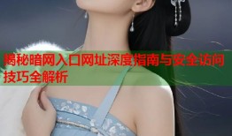揭秘暗网入口网址深度指南与安全访问技巧全解析