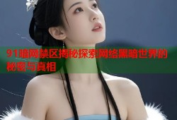 91暗网禁区揭秘探索网络黑暗世界的秘密与真相