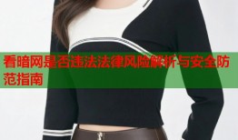 看暗网是否违法法律风险解析与安全防范指南