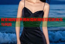 探索暗网世界揭秘隐秘网络背后的真实与风险