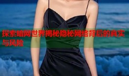 探索暗网世界揭秘隐秘网络背后的真实与风险