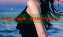 暗网禁区App星：隐私保护与安全监控