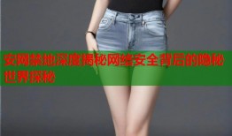 安网禁地深度揭秘网络安全背后的隐秘世界探秘