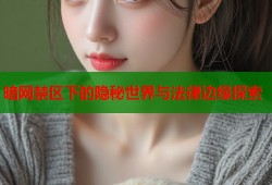 暗网禁区下的隐秘世界与法律边缘探索