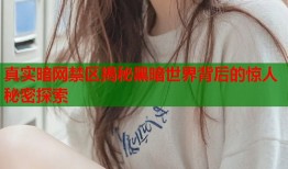 真实暗网禁区揭秘黑暗世界背后的惊人秘密探索