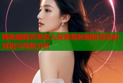 揭秘暗网世界深入探索隐秘网络背后的真相与风险分析