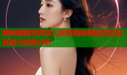 揭秘暗网世界深入探索隐秘网络背后的真相与风险分析