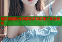 暗区禁网软件详解及常见应用工具全解析
