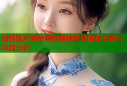 暗网图片揭秘网络黑暗世界隐秘交易与风险分析
