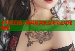 手机能否进入暗网及其安全访问全攻略揭秘