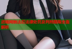 进暗网触法后法律处罚及判刑期限全面解析