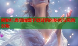揭秘红房间暗网下载背后的秘密与风险分析