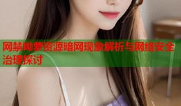 网禁呦萝资源暗网现象解析与网络安全治理探讨