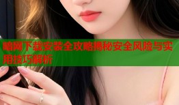 暗网下载安装全攻略揭秘安全风险与实用技巧解析