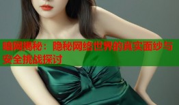暗网揭秘：隐秘网络世界的真实面纱与安全挑战探讨