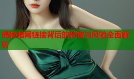 揭秘暗网链接背后的秘密与风险全面解析