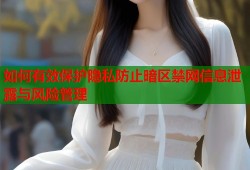 如何有效保护隐私防止暗区禁网信息泄露与风险管理