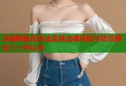 进暗网是否违法及其法律风险与防范解析三十字以内