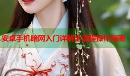 安卓手机暗网入门详解全流程操作指南