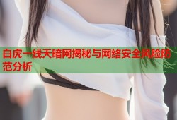 白虎一线天暗网揭秘与网络安全风险防范分析