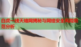 白虎一线天暗网揭秘与网络安全风险防范分析