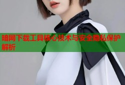 暗网下载工具核心技术与安全隐私保护解析