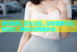 探索暗网：匿名访问、加密通信与隐秘资源，保障你的网络自由