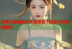 丝绸之路暗网中文版资源下载及访问指南解析