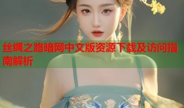 丝绸之路暗网中文版资源下载及访问指南解析