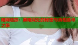 暗网迷踪：黑暗深处的秘密与真相追寻之旅